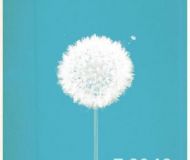 seedstock4