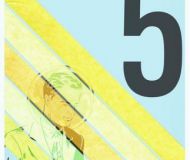 seedsstock5